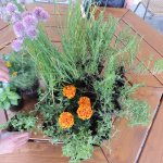 III._Zahradní_stoly_7