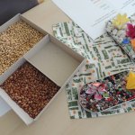 VI._Terapeutické_pomůcky_3