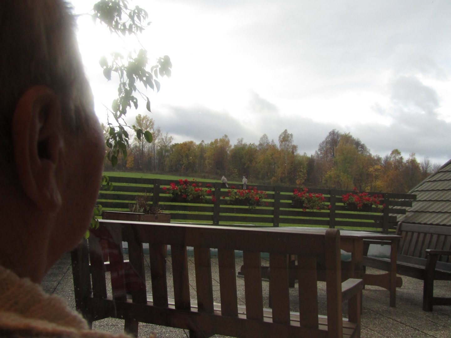 domov_se_zvlastnim_rezimem_04